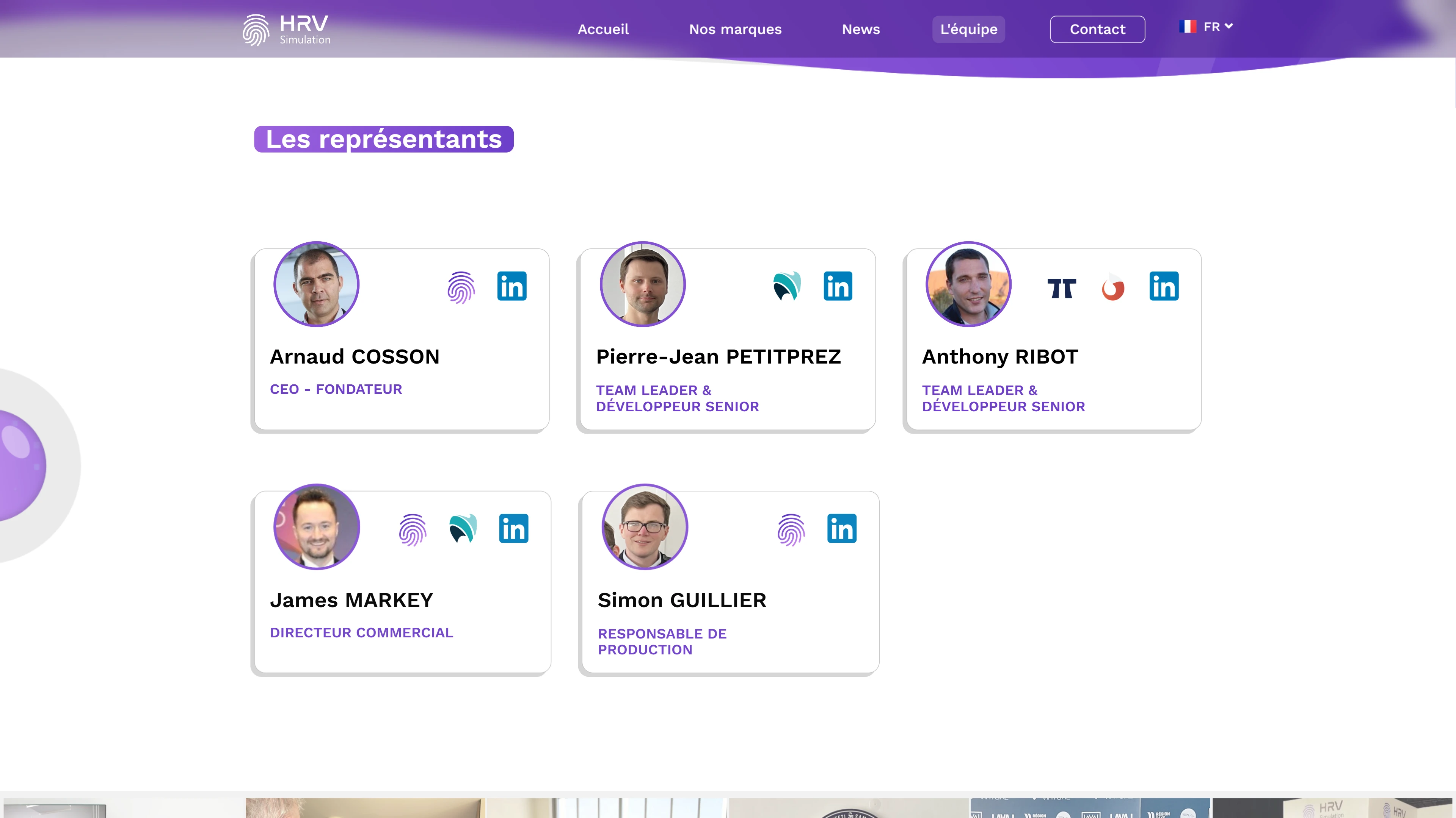 HRV Simulation — visual identity